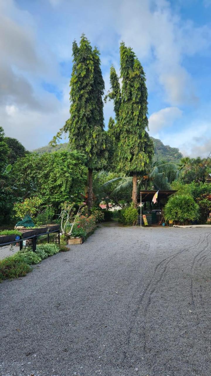 Green Self-Catering Apartment Beau Vallon  Bagian luar foto